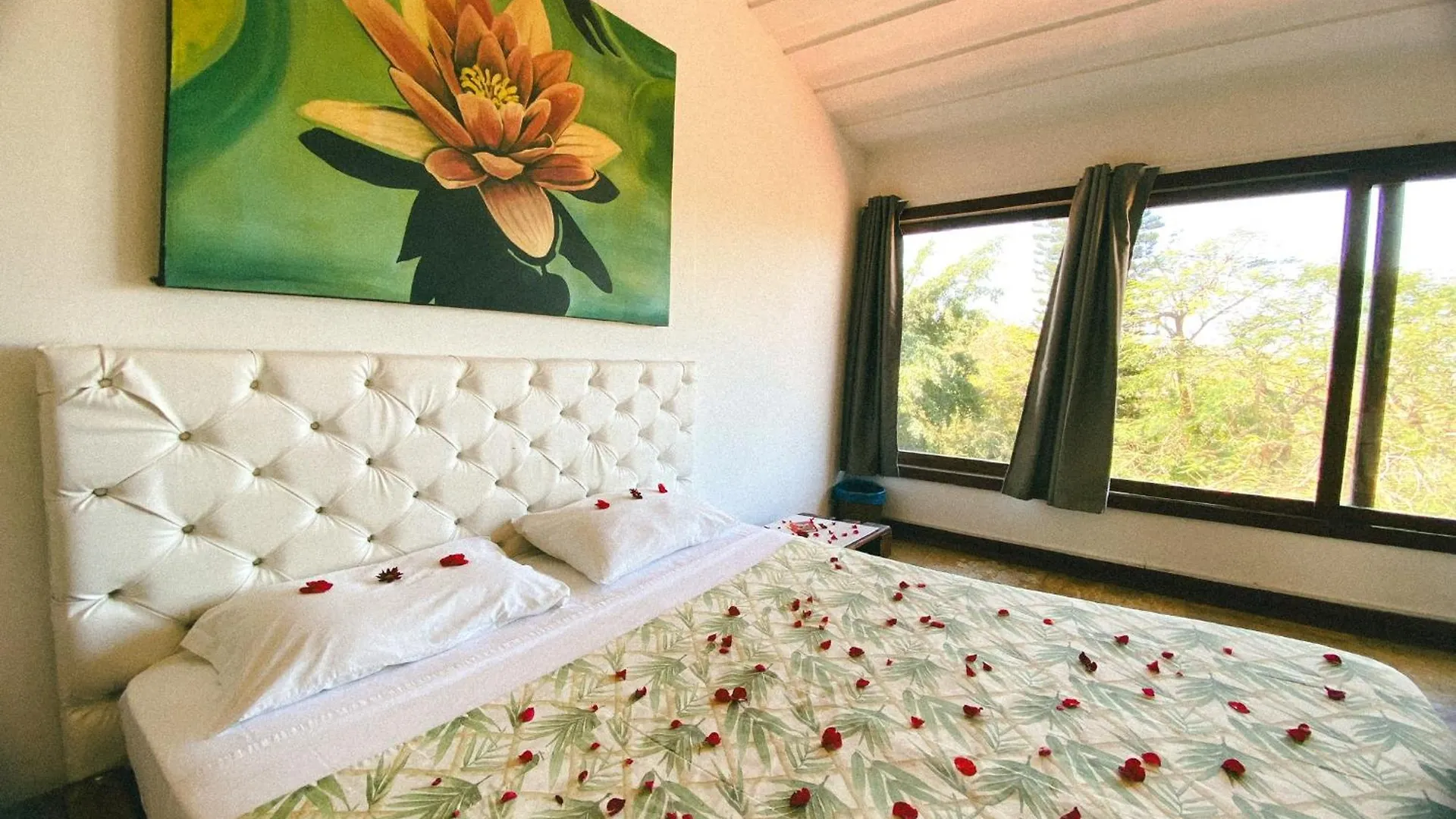 The Eco Palace Hostel Armacao dos Buzios Brazil