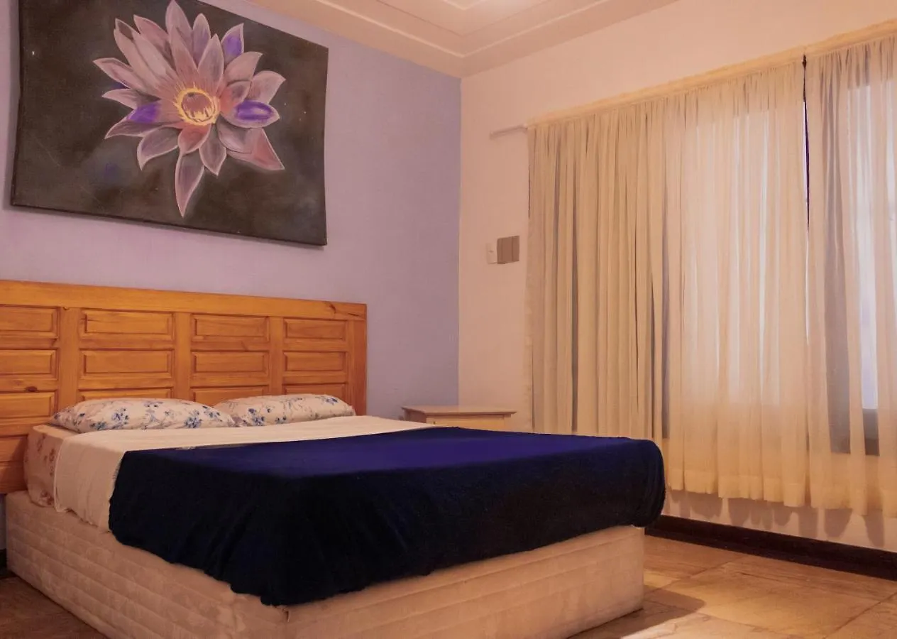 The Eco Palace Hostel Búzios